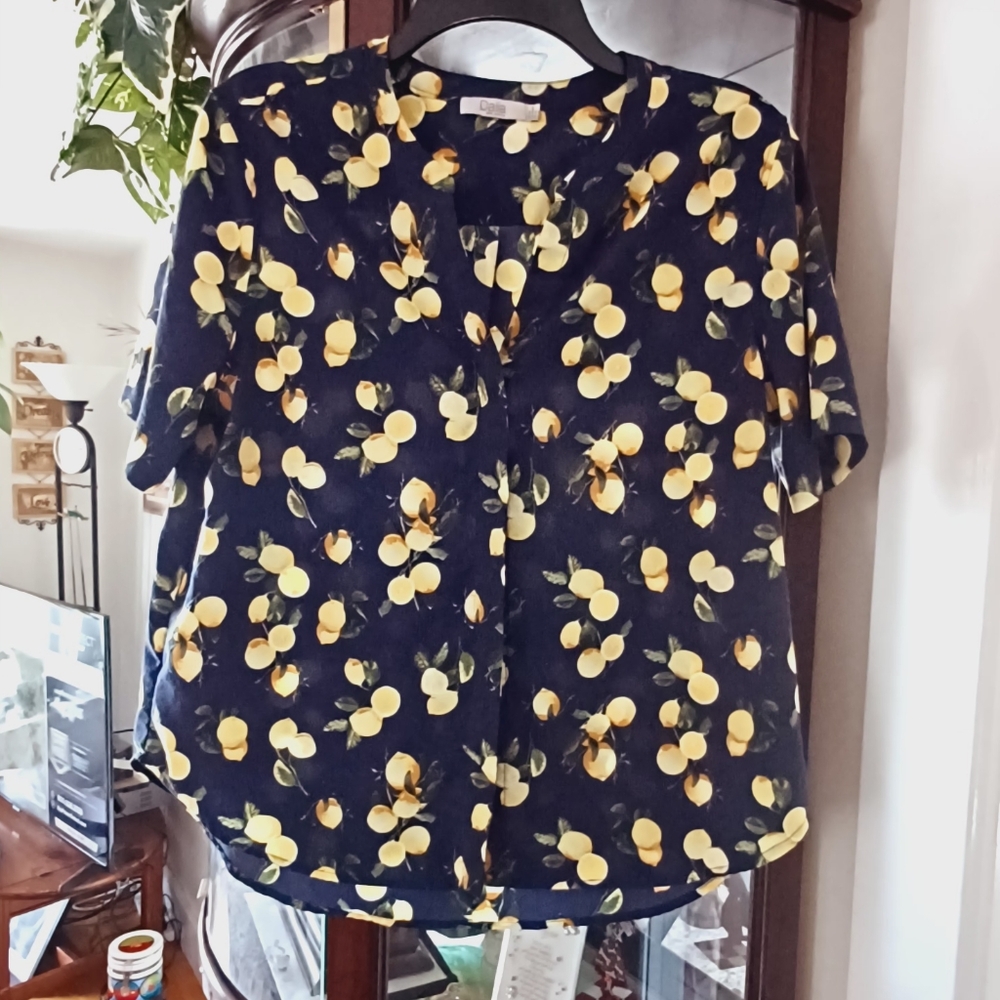 Dalia Top